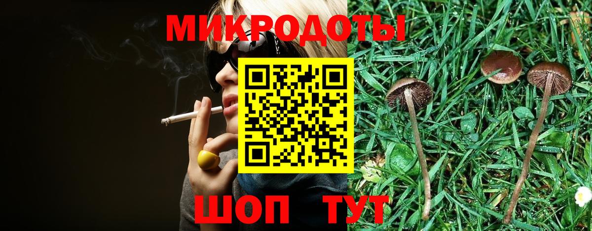 Галлюциногенные грибы Psilocybine cubensis Туймазы