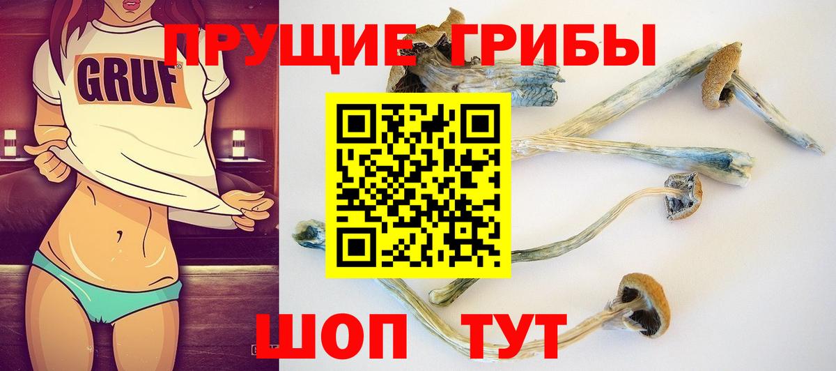 продажа наркотиков  Галлюциногенные грибы Psilocybe  Туймазы  Вход с VPN  Псилоцибиновые грибы Magic Shrooms 